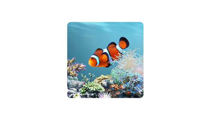 3D 熱帶水族魚屏保 SereneScreen Marine Aquarium 3.3.6341 中文漢化免注冊版