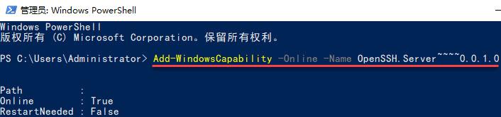 Windows Server 2019安裝OpenSSH Server簡明教程