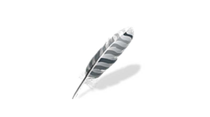 Wing IDE Pro 集成開發(fā)環(huán)境 Wing IDE Pro v10.0.5 windows/macos/linux 正式版
