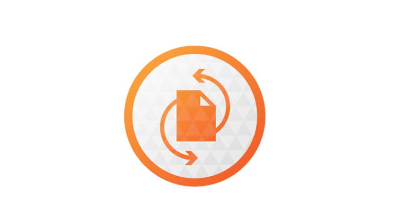 Paragon Hard Disk Manager Advanced 硬盤分區(qū)管理 Paragon Hard Disk Manager Advanced 17.13.1 Win/macOS