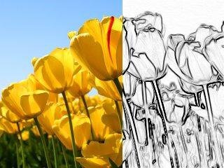 圖片編輯器LazPaint 7.1.3 + x64 中文多語免費版下載
