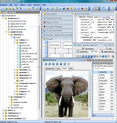數(shù)據(jù)庫管理軟件 PostgreSQL Maestro 24.9.0.1 破解版下載