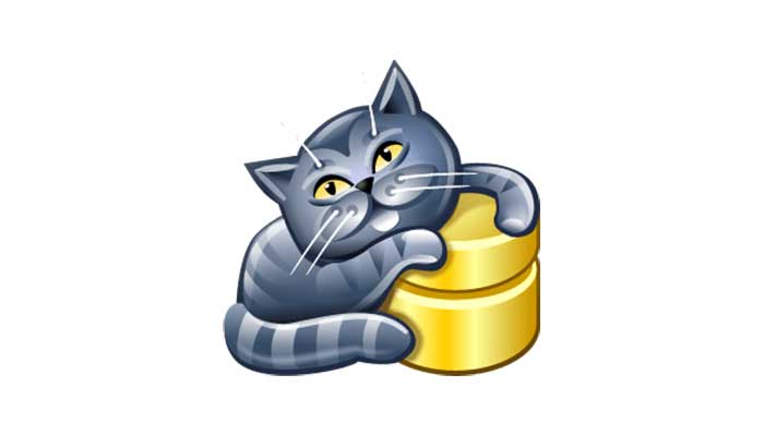 數(shù)據(jù)庫管理軟件 AnySQL Maestro 16.12.0.15 專業(yè)版