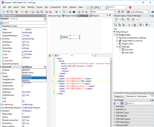 TMS WEB Core圖片 Web應(yīng)用程序框架 TMS WEB Core v2.0.1.1 for RAD Studio/Delphi