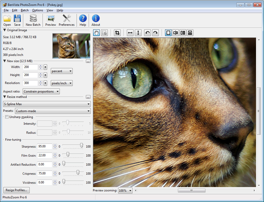 Benvista PhotoZoom圖片 圖片無損放大軟件 Benvista PhotoZoom Pro 9.0.0 Win/ 7.1 macOS