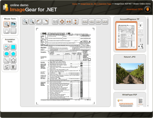 ImageGear 圖像處理庫 Accusoft ImageGear for .NET 24.8 零售版
